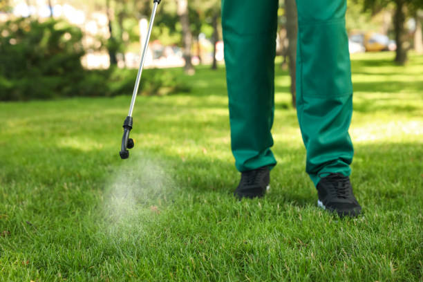 Best Affordable Pest Control Services  in West St Paul, MN