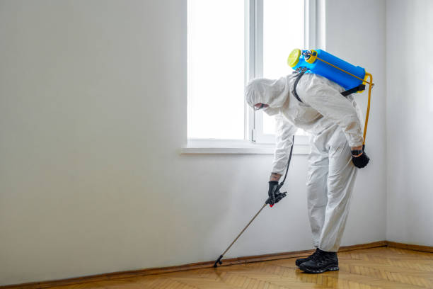 Best Wasp Removal Services  in West St Paul, MN