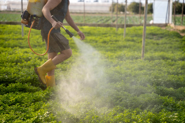 Best Commercial Pest Control Services  in West St Paul, MN