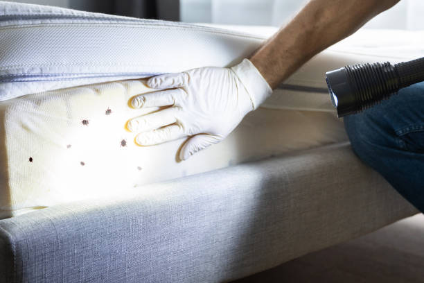 Best Pest Prevention Services  in West St Paul, MN