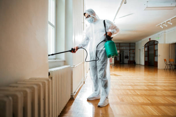 Best Termite Control Services  in West St Paul, MN